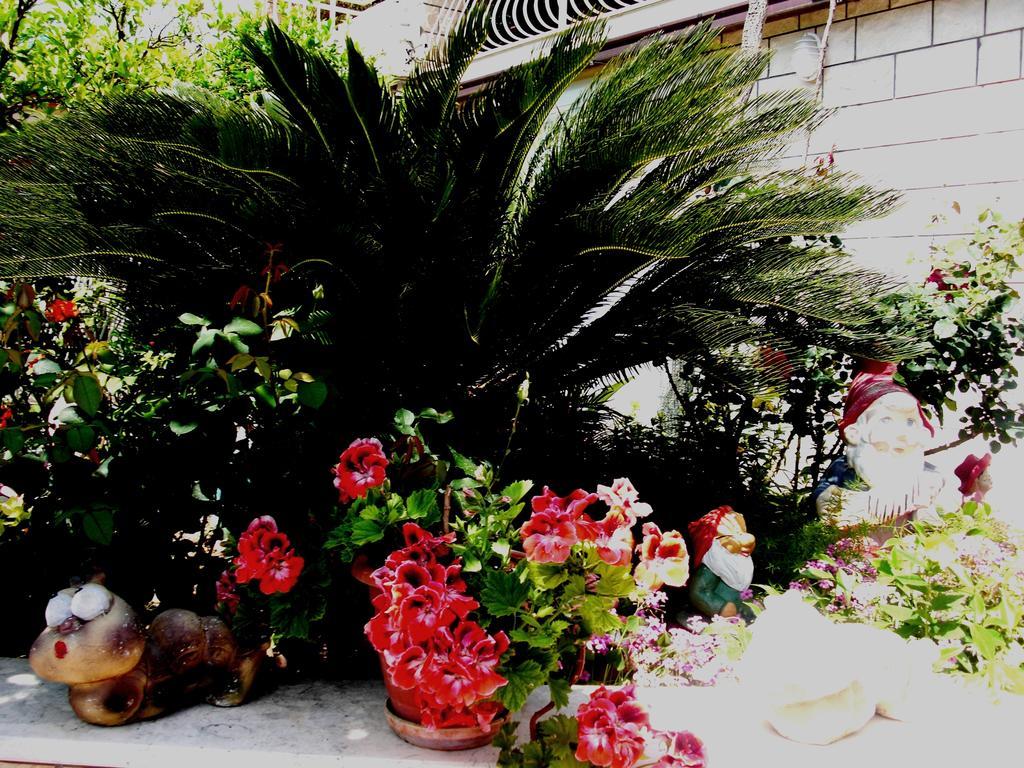House Jelena Hotel Mlini Exterior photo