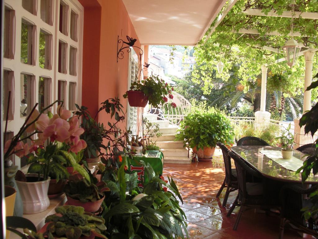 House Jelena Hotel Mlini Exterior photo